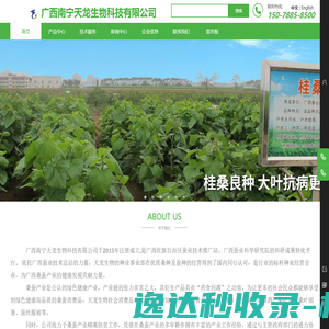 广西南宁天龙生物科技有限公司,专注：桑种,桑苗,桑饲料,蛋白桑,桑果汁,桑果酒