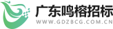 广东招标采购网