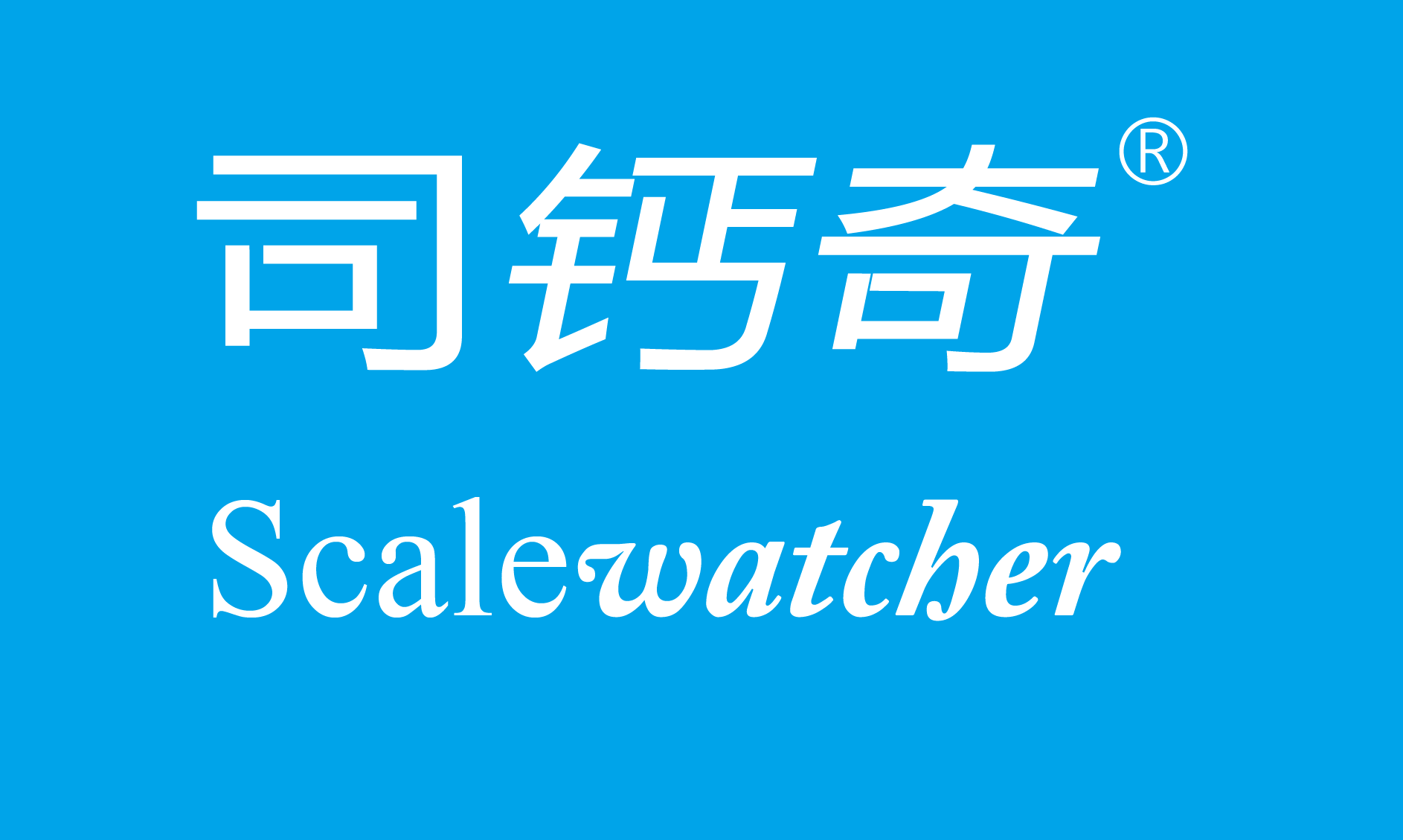 司钙奇