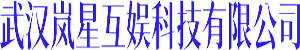 武汉岚星互娱科技有限公司