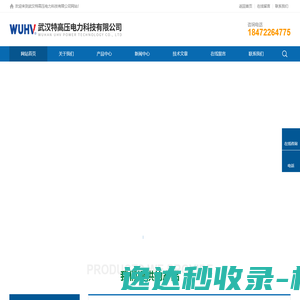 铜陵国展电子有限公司
